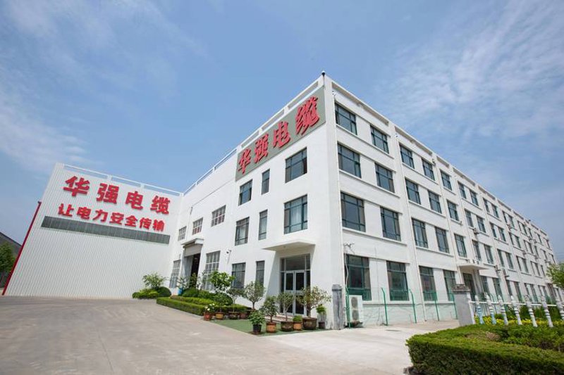 阳谷电缆:连接未来的世界